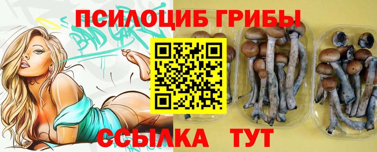 Галлюциногенные грибы Cubensis Тверь