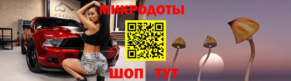где можно купить наркотик  Псилоцибиновые грибы ЛСД  Вход с VPN  Тверь 