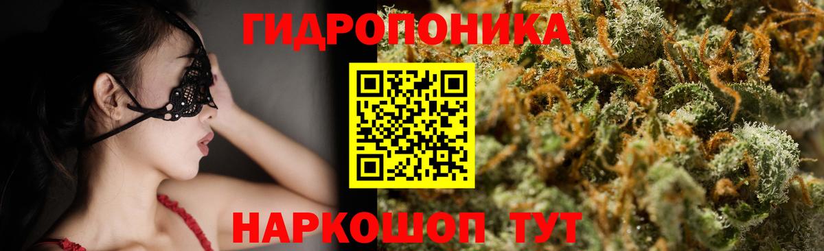 Тверь  Бошки марихуана VHQ  Вход с VPN  Марихуана тримм  Бошки Шишки White Widow  Марихуана планчик 
